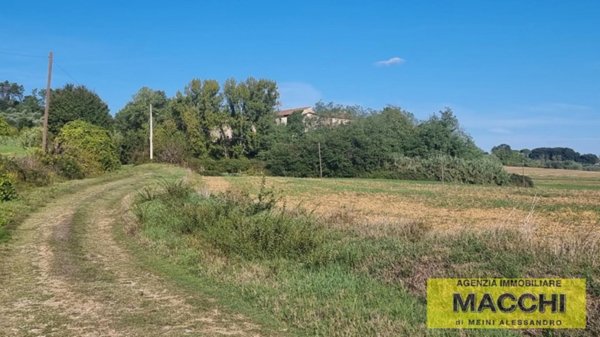 casale in vendita a Terricciola