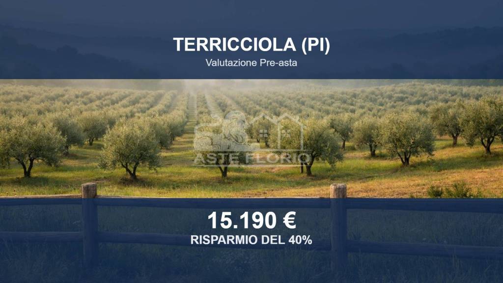 immagine annuncio 0 di 10