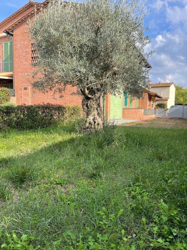 appartamento in vendita a Terricciola in zona Selvatelle