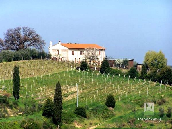 casa indipendente in vendita a Terricciola