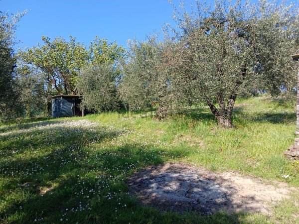 terreno in vendita a Terricciola in zona Morrona