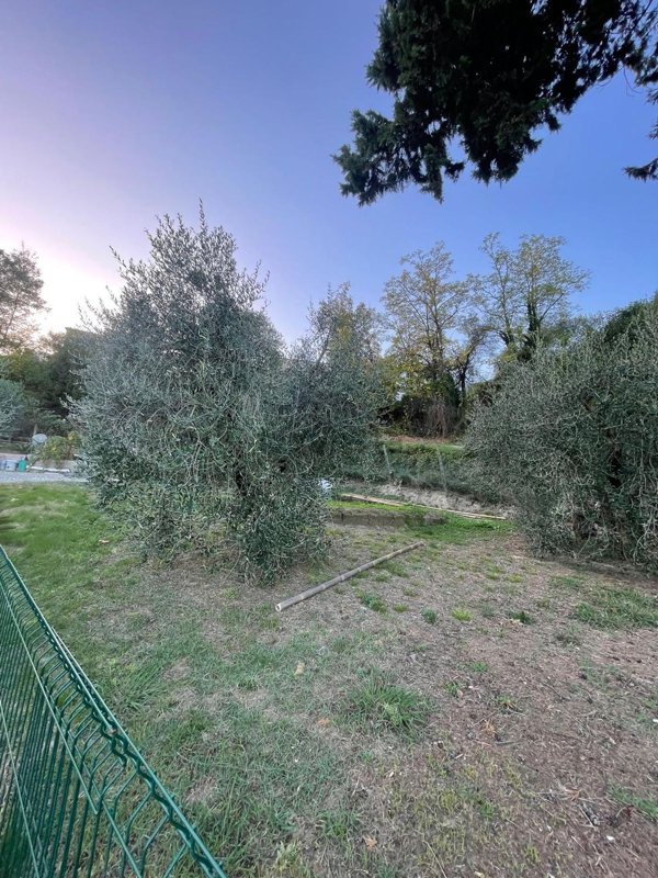 terreno in vendita a Terricciola