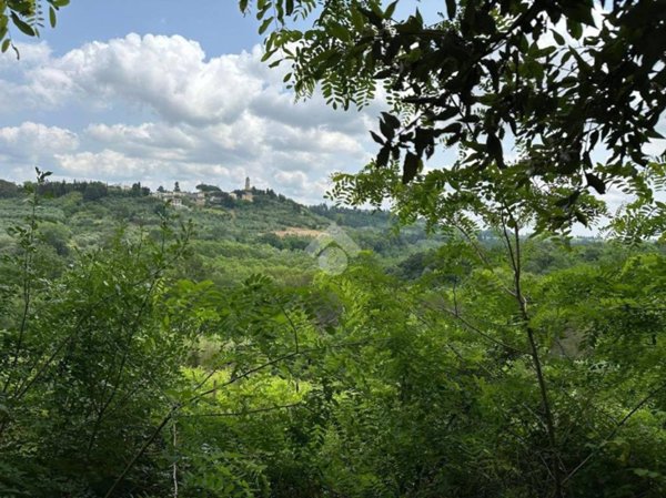 terreno in vendita a Terricciola in zona Morrona