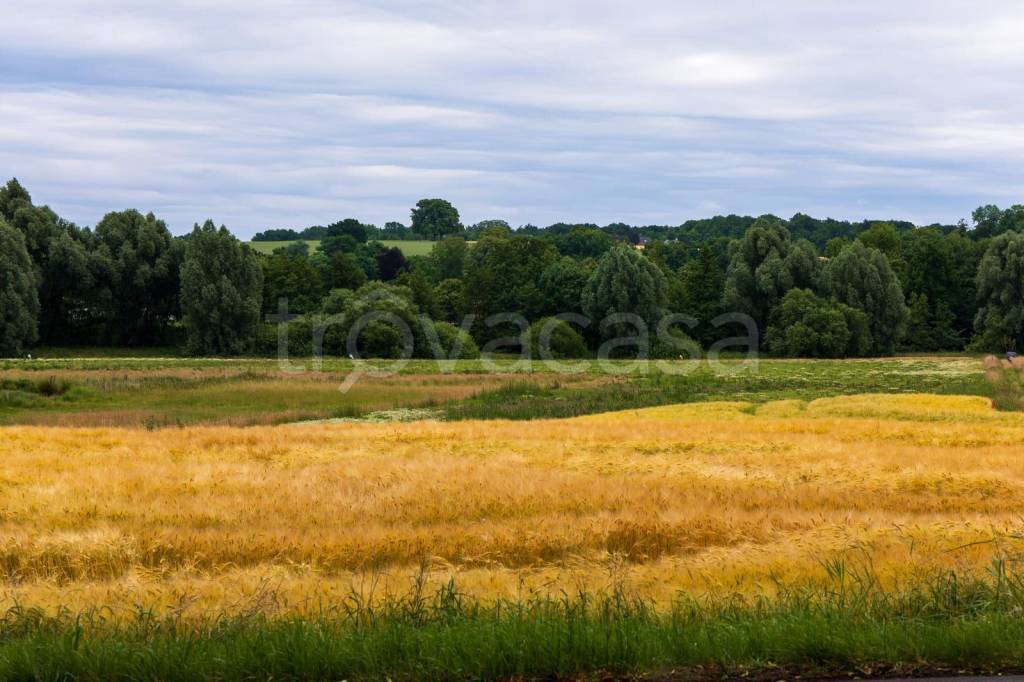 terreno in vendita a Terricciola in zona Morrona