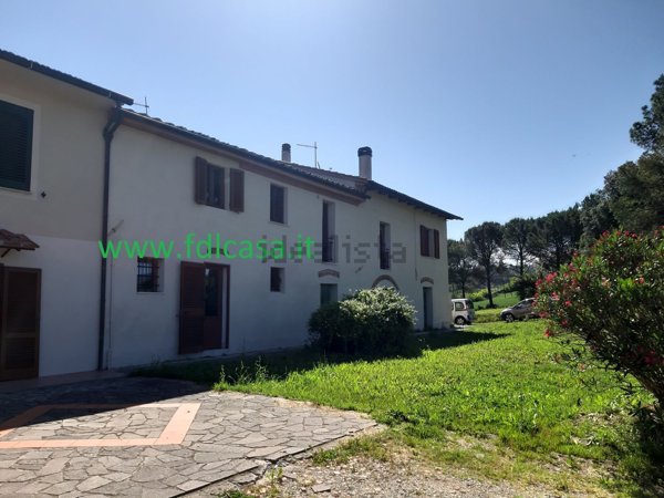 appartamento in vendita a Terricciola in zona Morrona