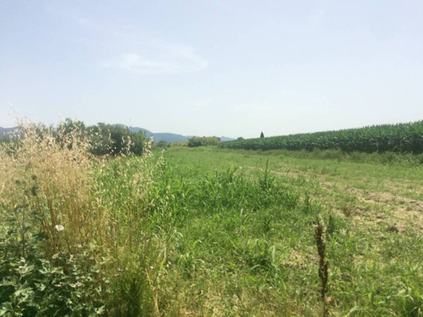terreno agricolo in vendita a Vecchiano in zona Nodica