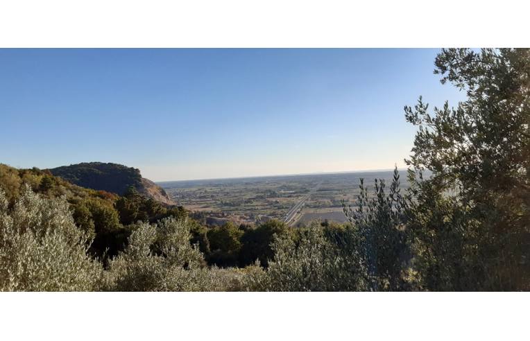 terreno agricolo in vendita a Vecchiano in zona Filettole