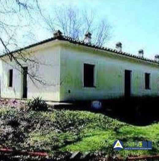 negozio in vendita a Vecchiano