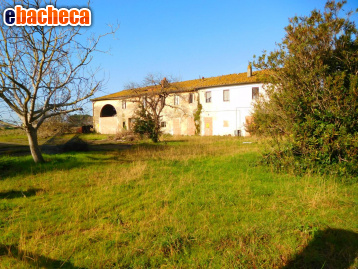 appartamento in vendita a Vecchiano