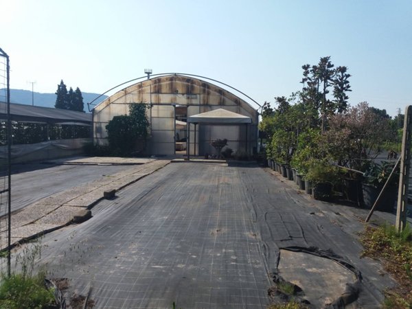ufficio in vendita a Vecchiano in zona Filettole
