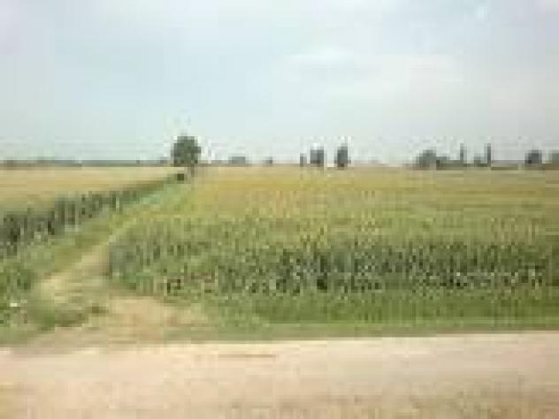 terreno agricolo in vendita a Vecchiano in zona Nodica