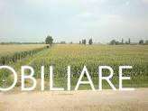 terreno agricolo in vendita a Vecchiano in zona Nodica