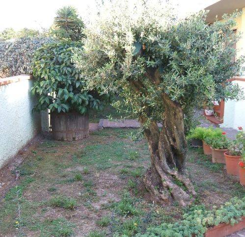 casa indipendente in vendita a Vecchiano