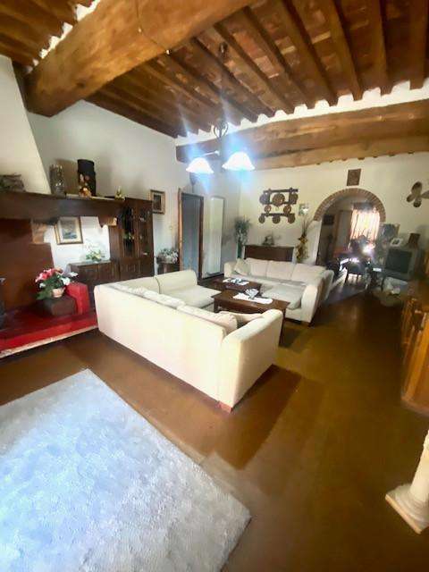 immagine annuncio 0 di 15
