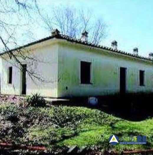 negozio in vendita a Vecchiano