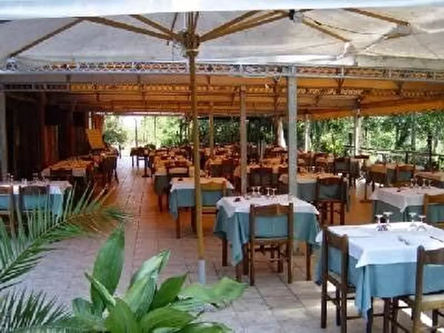 negozio in vendita a Vecchiano