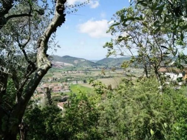 casa indipendente in vendita a Vecchiano