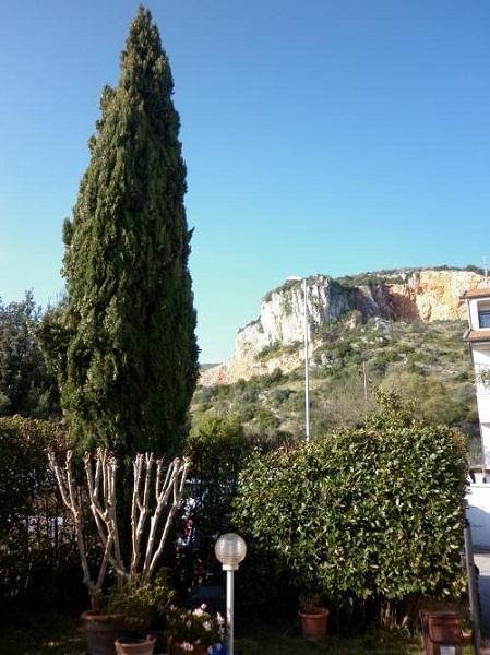 casa indipendente in vendita a Vecchiano