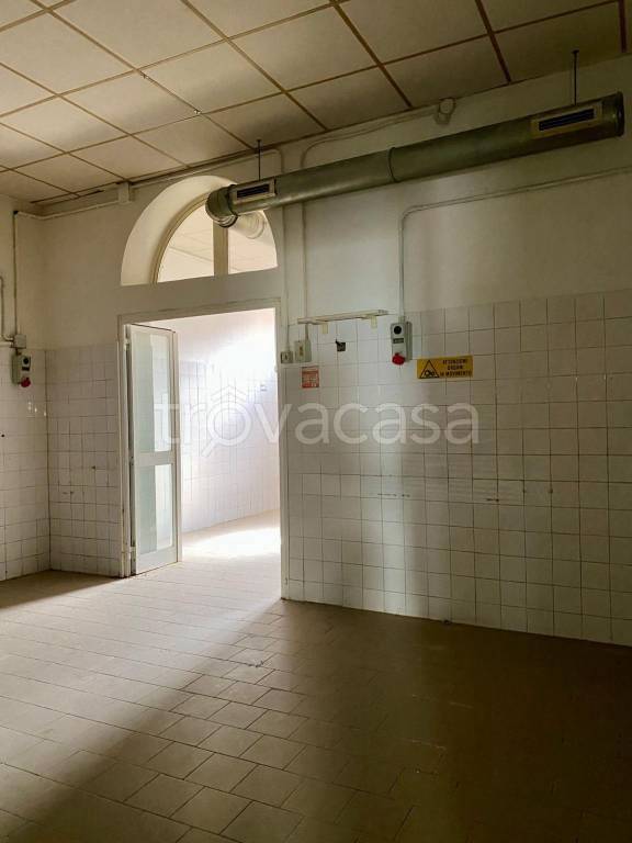 negozio in vendita a Vecchiano