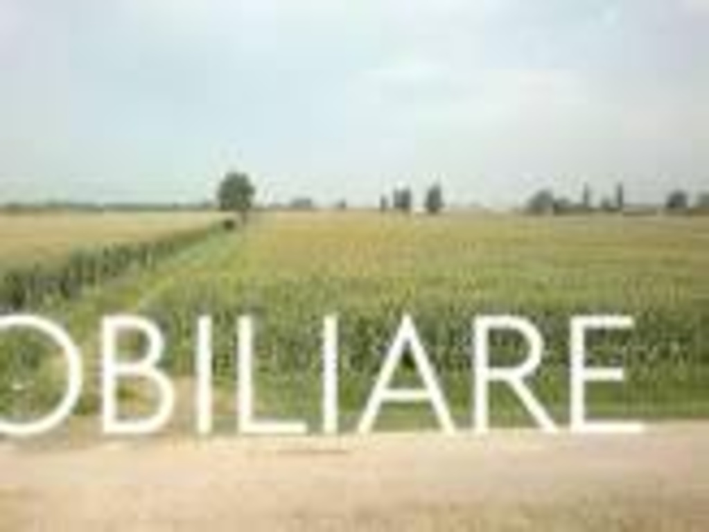 terreno agricolo in vendita a Vecchiano in zona Nodica