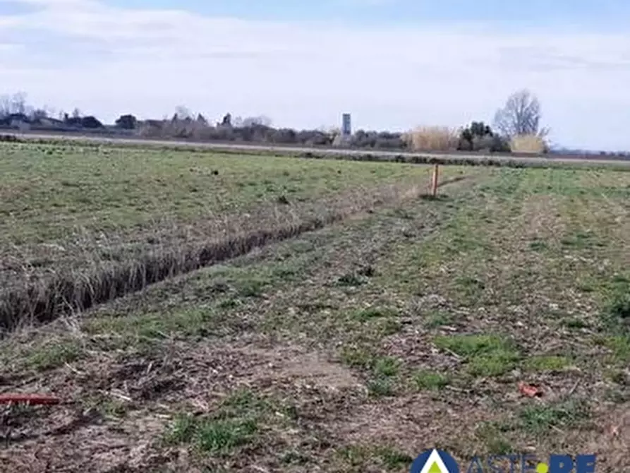terreno agricolo in vendita a Vecchiano