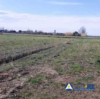 terreno agricolo in vendita a Vecchiano
