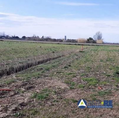 terreno agricolo in vendita a Vecchiano