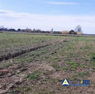 terreno agricolo in vendita a Vecchiano