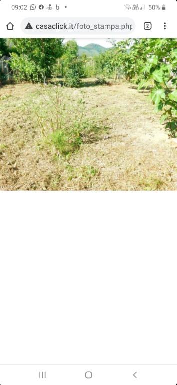 casa indipendente in vendita a Vecchiano in zona Nodica