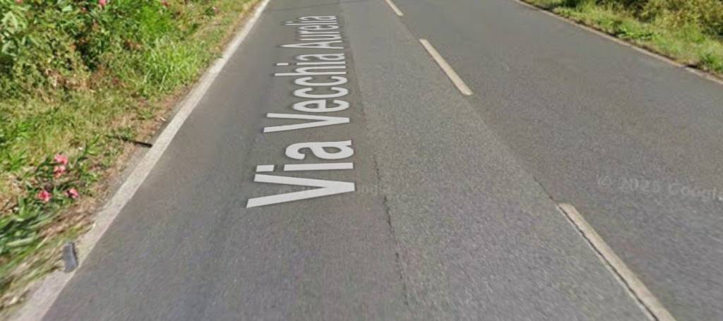 terreno agricolo in vendita a Vecchiano