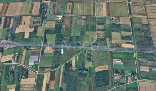 terreno agricolo in vendita a Vecchiano