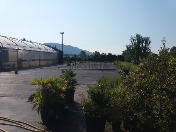 ufficio in vendita a Vecchiano in zona Filettole