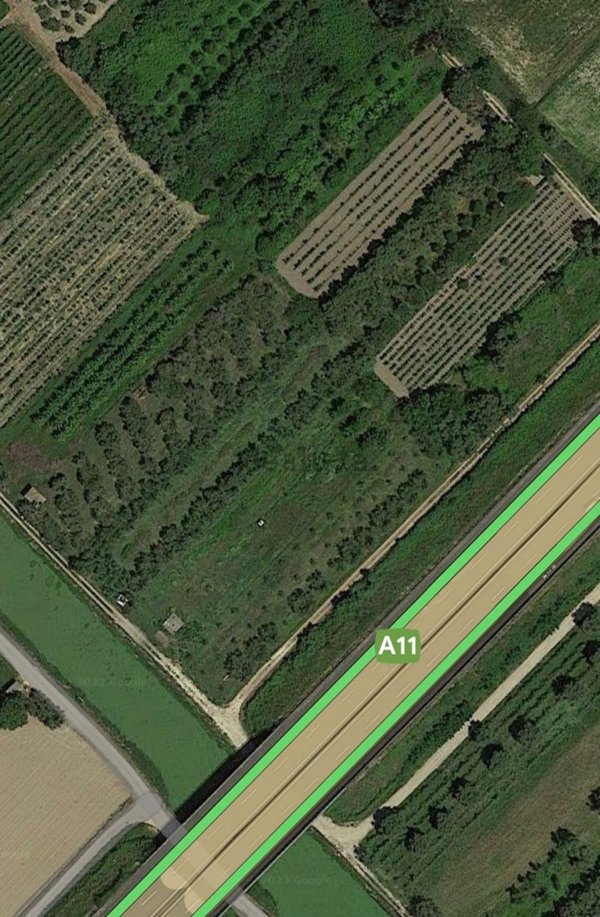 terreno agricolo in vendita a Vecchiano