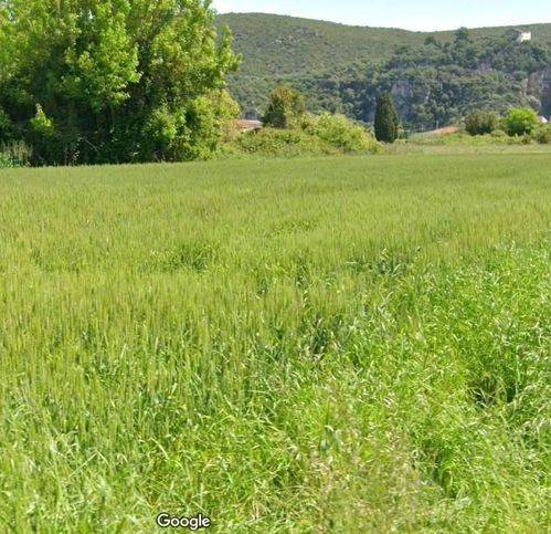 terreno agricolo in vendita a Vecchiano in zona Migliarino Pisano