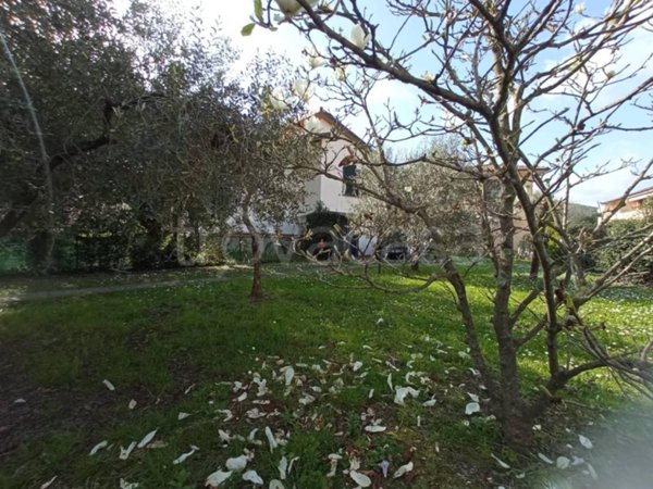 casa indipendente in vendita a Vecchiano in zona Avane