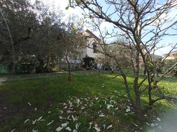 casa indipendente in vendita a Vecchiano in zona Nodica