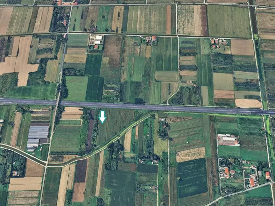 terreno agricolo in vendita a Vecchiano