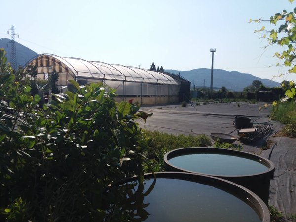 ufficio in vendita a Vecchiano in zona Filettole