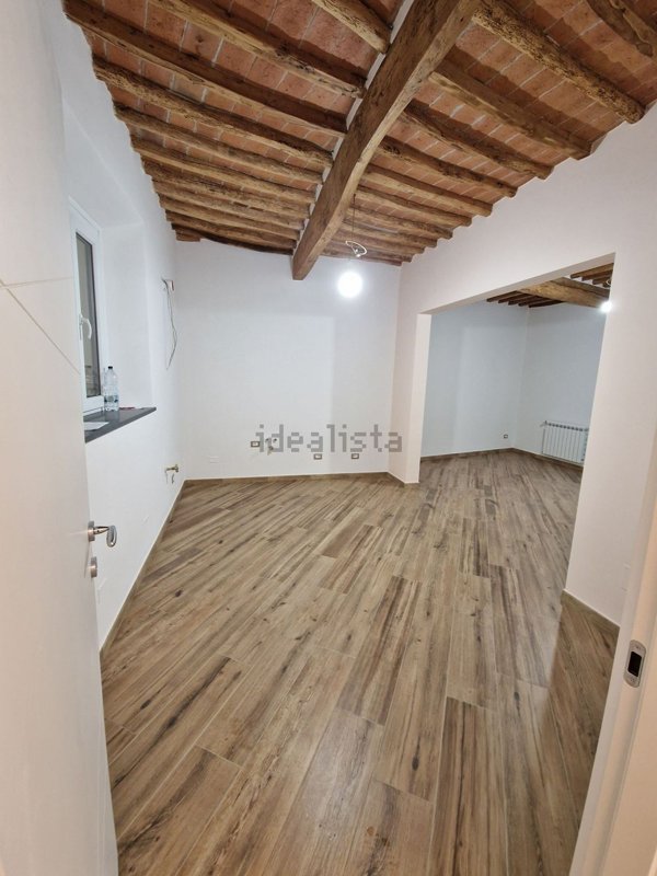 pentavano in vendita a Vecchiano