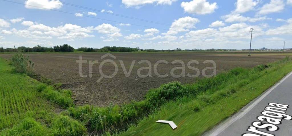 terreno agricolo in vendita a Vecchiano