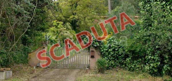 appartamento in vendita a Vecchiano in zona Filettole