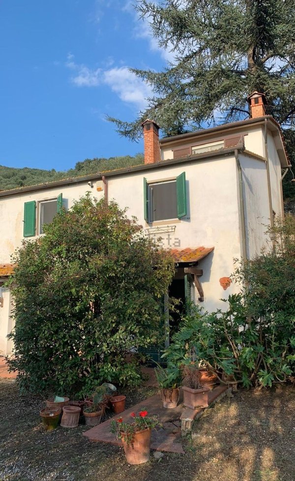casa indipendente in vendita a Vecchiano in zona Nodica
