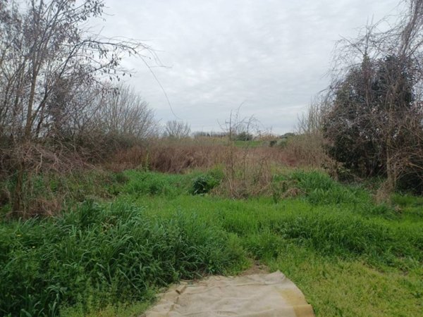 terreno agricolo in vendita a Vecchiano in zona Avane