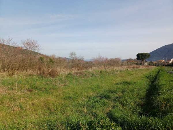 terreno agricolo in vendita a Vecchiano in zona Avane