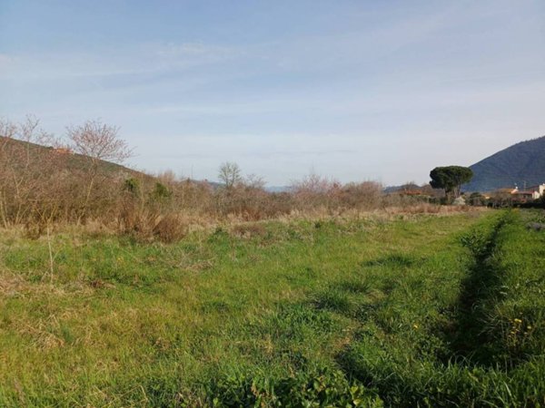 terreno agricolo in vendita a Vecchiano in zona Avane