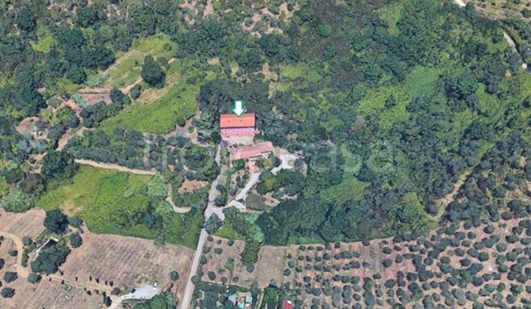 appartamento in vendita a Vecchiano in zona Filettole