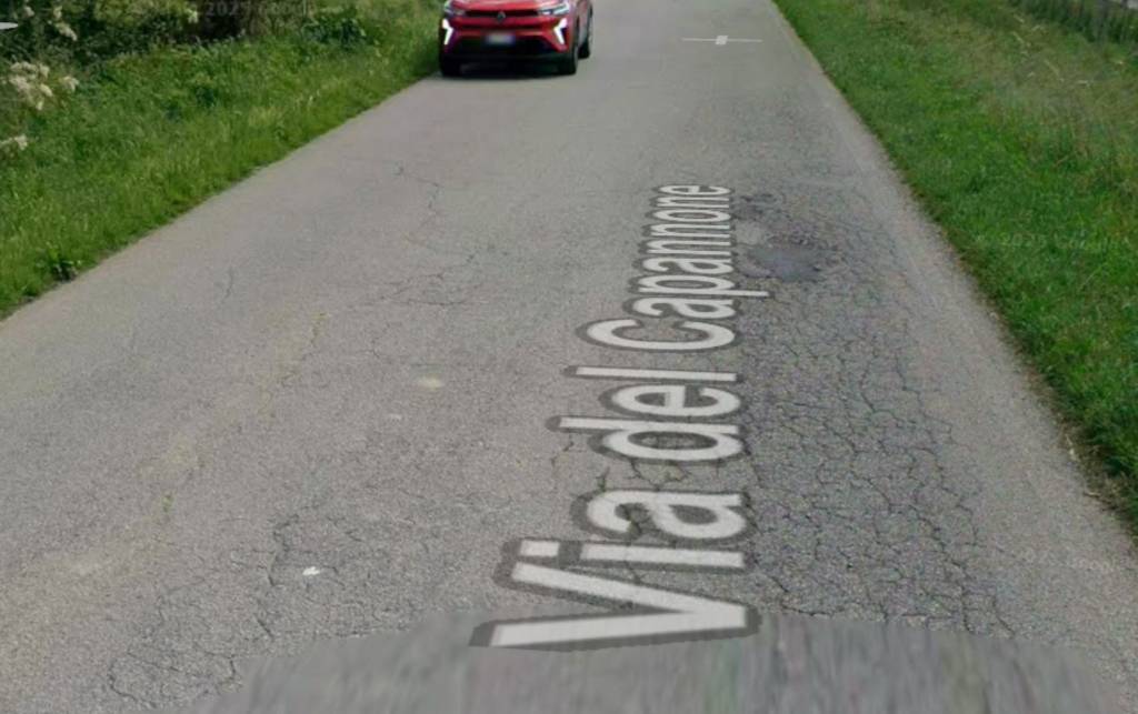 terreno agricolo in vendita a Vecchiano