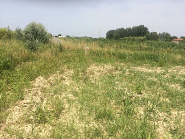 terreno agricolo in vendita a Vecchiano in zona Nodica