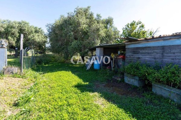 terreno agricolo in vendita a Vecchiano