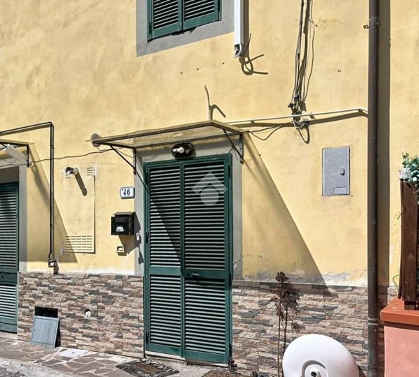 casa indipendente in vendita a Vecchiano in zona Avane